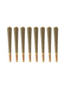 BlazeBox 8 – Regular Size Pre-Rolls PACK (8 x 0.8g)