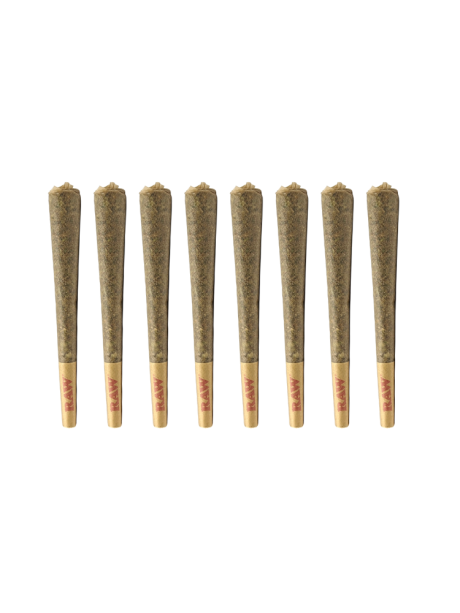 BlazeBox 8 – Regular Size Pre-Rolls PACK (8 x 0.8g)