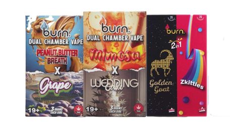 Burn Dual Chamber (3G+3G)  Disposable Vapes