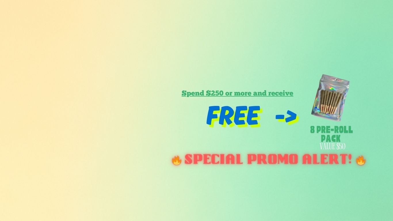 🔥 Special Promo Alert! 🔥 (6)