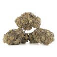 Jet-Fuel-OG-Multi-New