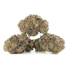 Jet Fuel (G6)