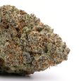 Super-Silver-Haze-1