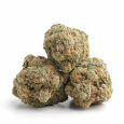Super-Silver-Haze-7-600x600