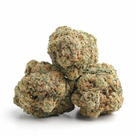 Super Silver Haze