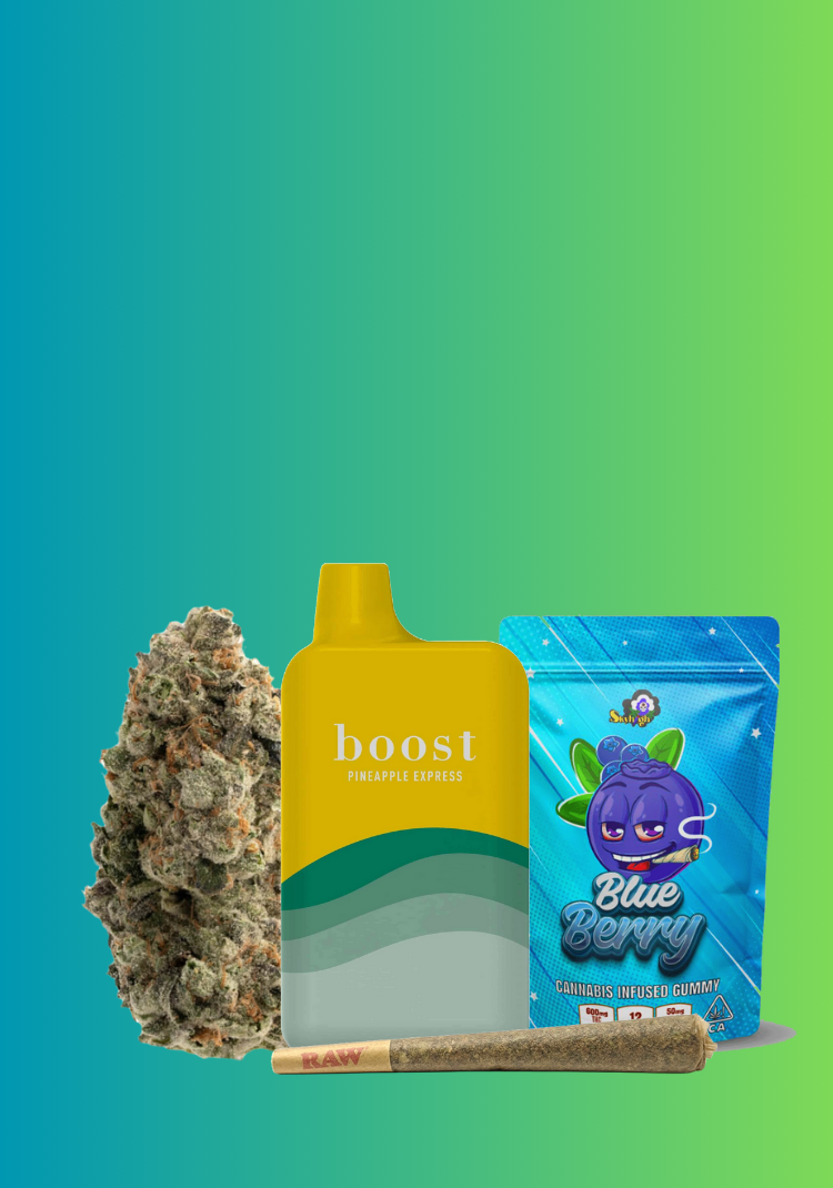 Untitled design (27)