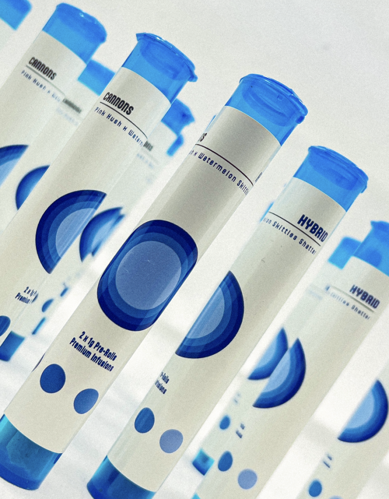 Screenshot-2023-04-29-at-8.24.36-AM