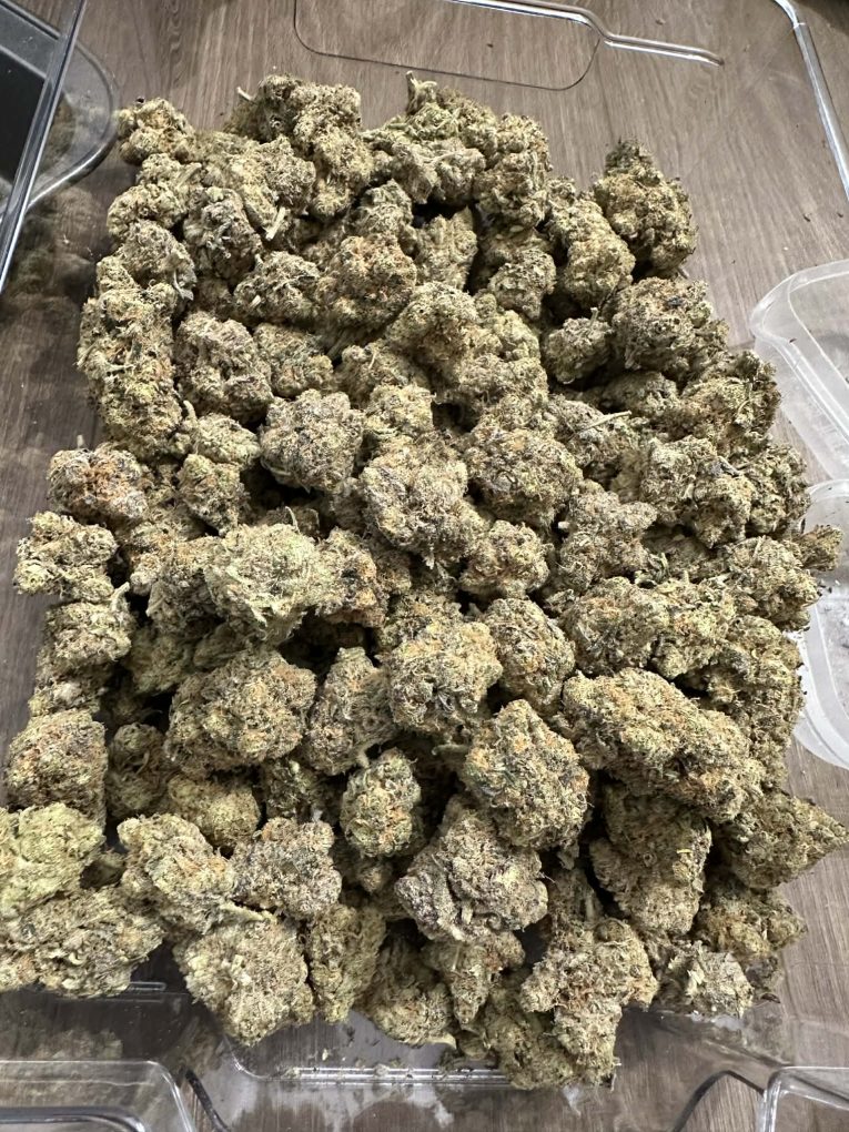 dd937be8-f917-48cf-b2be-aef00dda0cca (1)