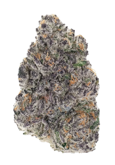 Blackberry Octane