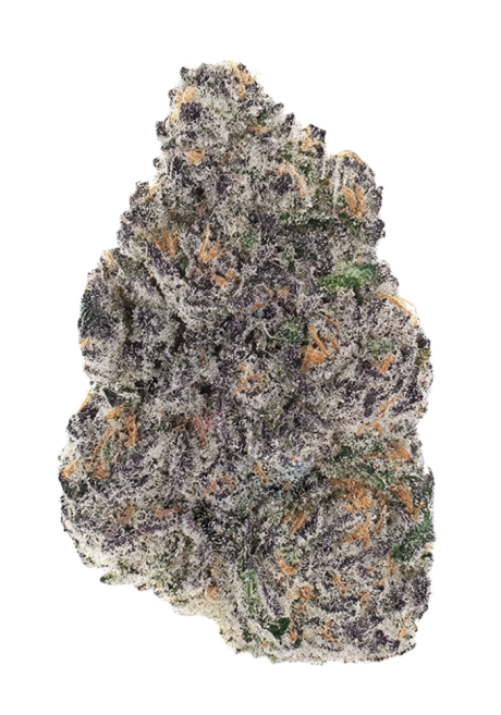 Blackberry Octane