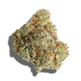 Gumbo-3.webp