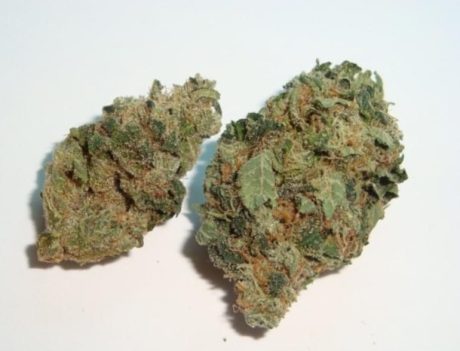 Banana Sundae