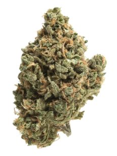 Gorilla Glue No.5