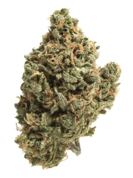 Gorilla Glue No.5