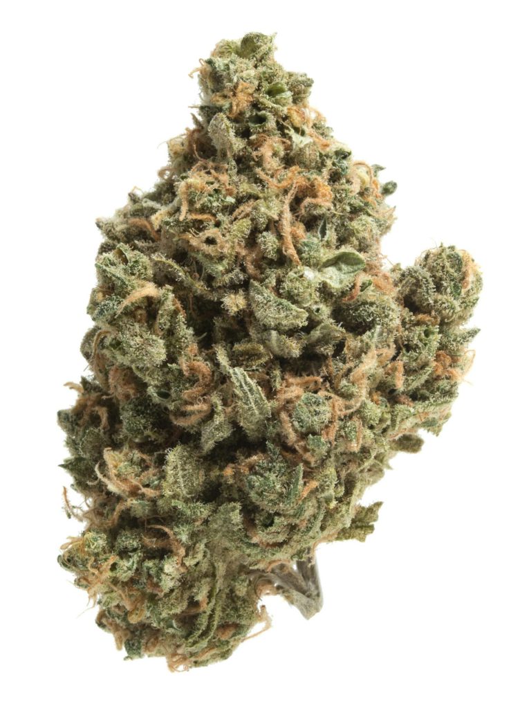 GG5