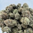 Lindsay OG2