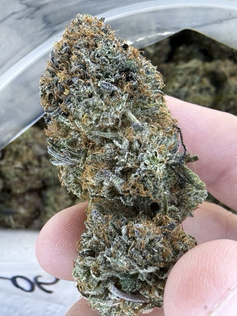 lindsay OG