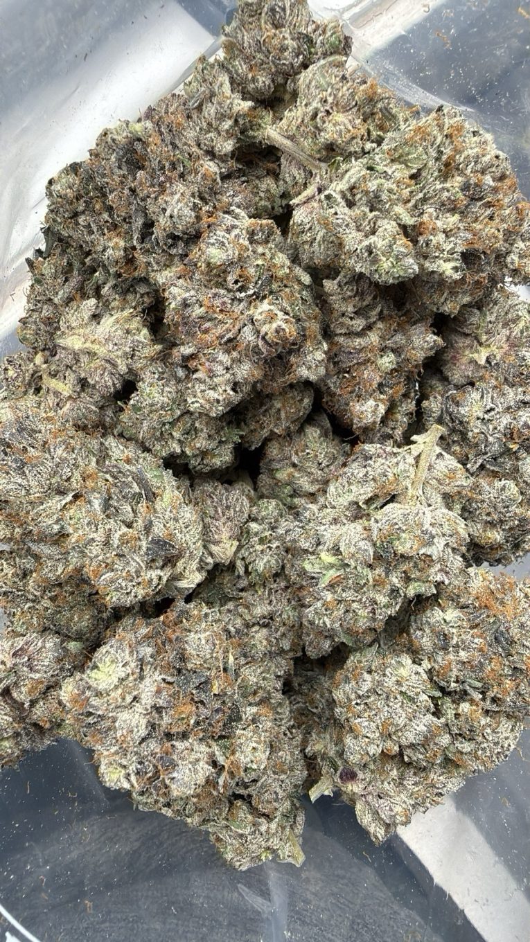 bc pink1